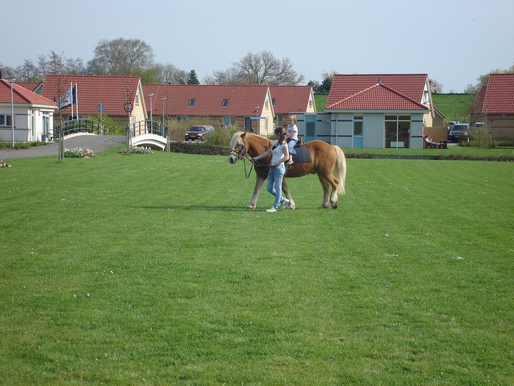 Ijsselhof Villa Type Medemblik 6 Andijk Εξωτερικό φωτογραφία